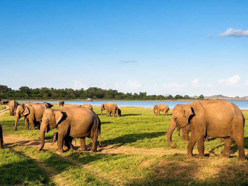 Book Family tour Packages From Bangalore