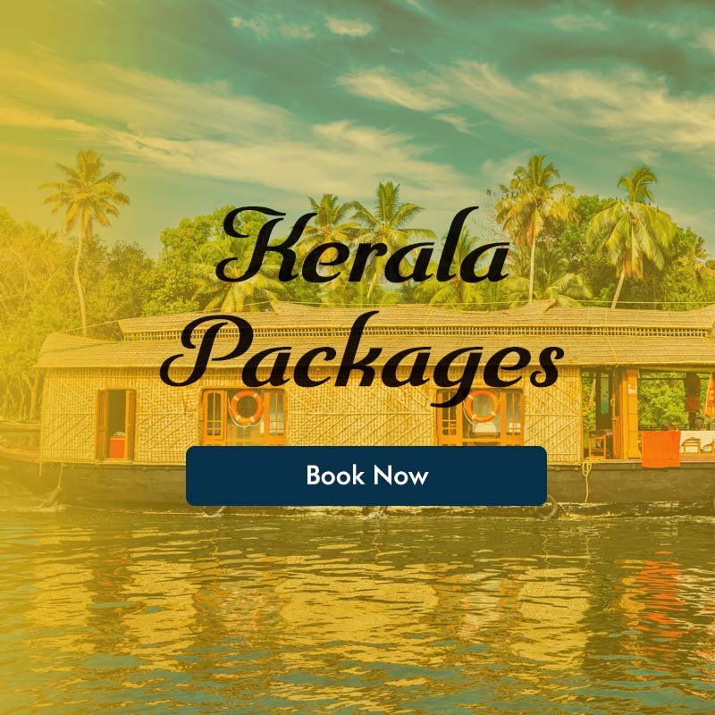 best travel agency in bangalore
